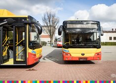 Czerwono-żółte autobusy