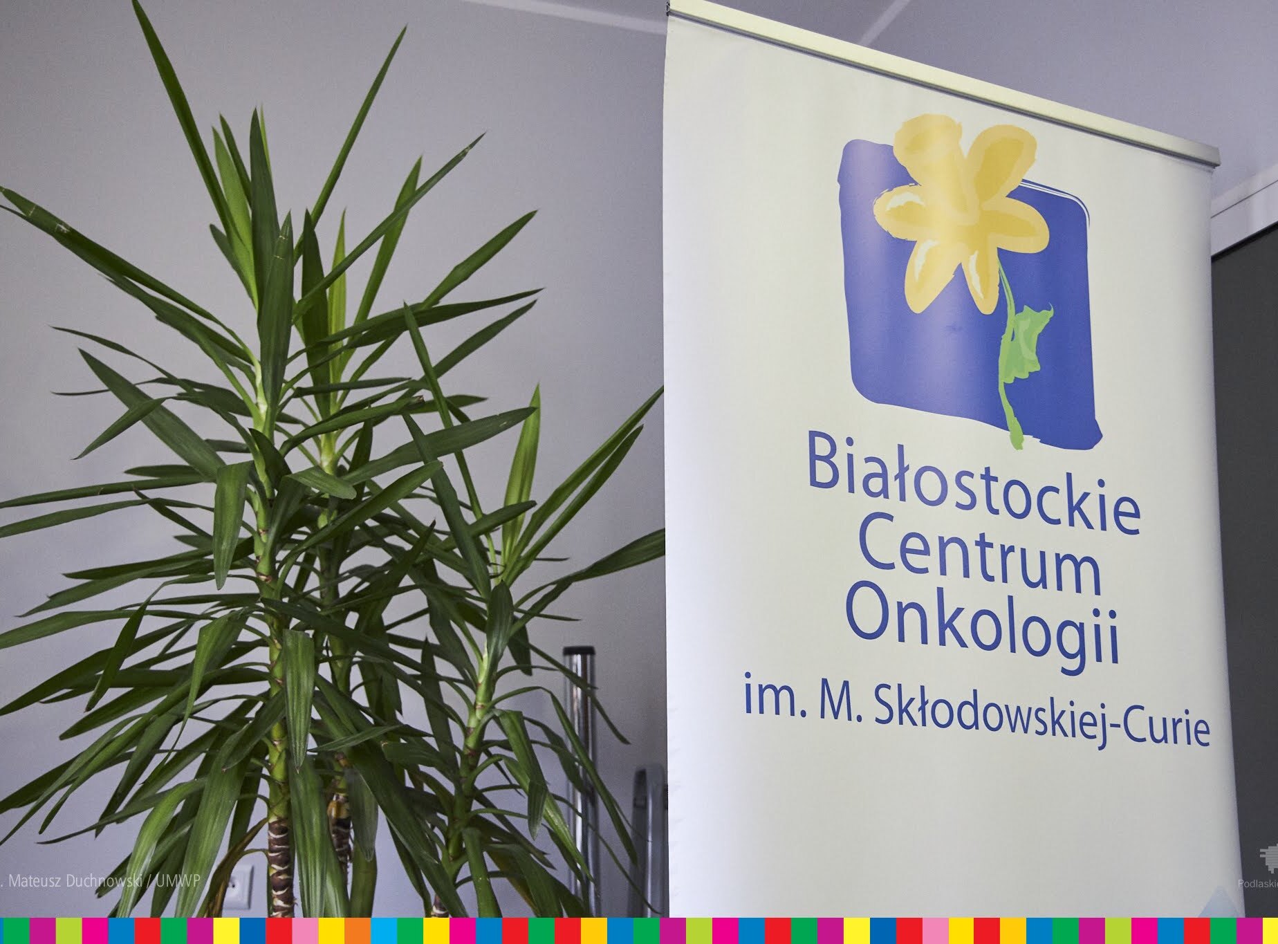 Obok rośliny widoczny jest roll-up z logiem Białostockiego Centrum Onkologii