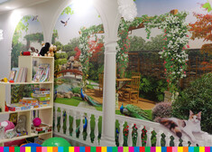 Dziecięcy pokoik z zabawkami i pomalowanymi ścianami 