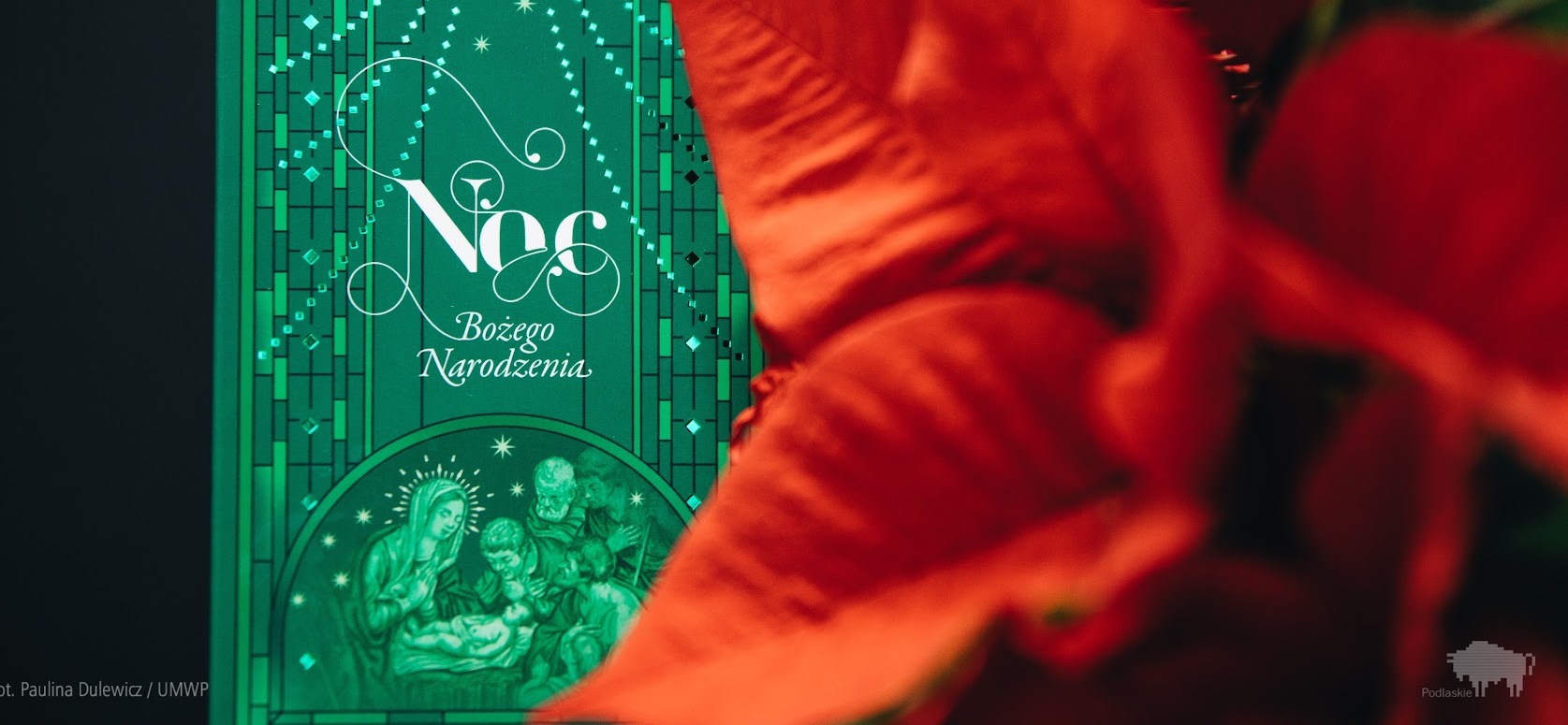 Zielona karta z napisem Noc Bożego Narodzenia. Z prawej róża betlejemska.