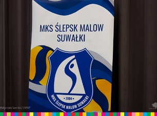 Logo klubu Ślepsk Malow Suwałki na reklamowym roll-upie.