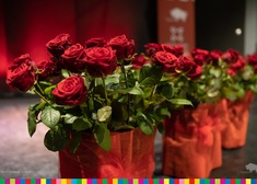 Róże w wazonach