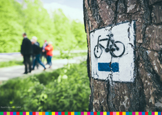 Znak trasy rowerowej na drzewie