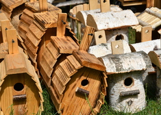 Drewniane budki dla ptaków