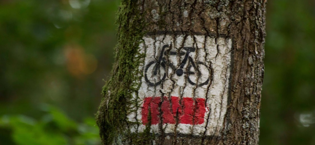 Znak na drzewie
