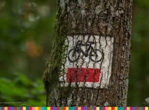 Znak na drzewie