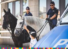 Policjanci na koniach