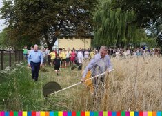 tradycyjny pokaz koszenia zboża