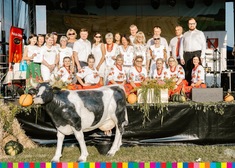 Duża grupa soób na scenie, na pierwszym planie sztuczna krowa