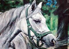 Obraz białego konia