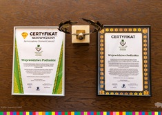 Dwa Certyfikaty, a między nimi statuetka ustawione na drewnianym stole