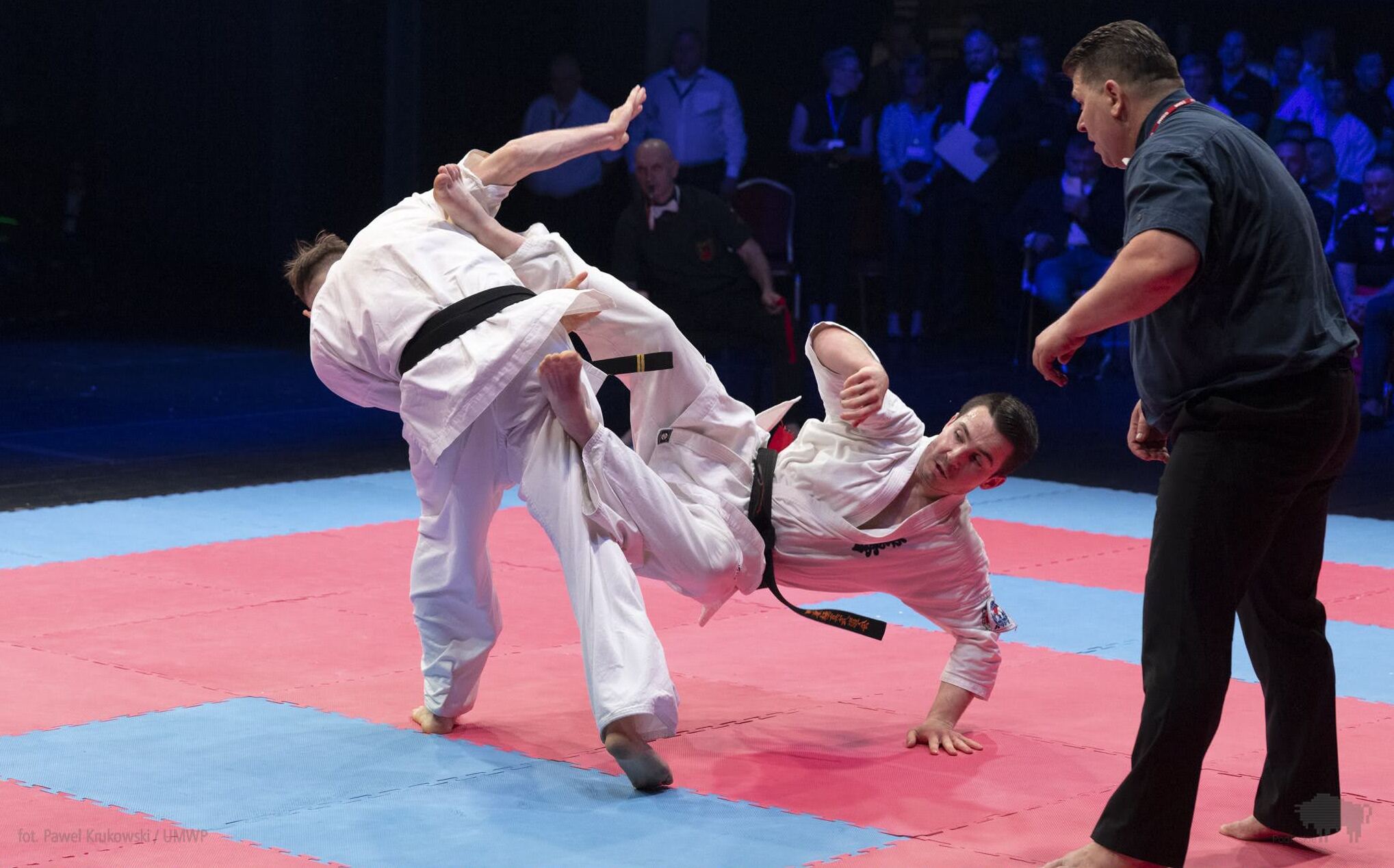 zawodnicy walczący w judo