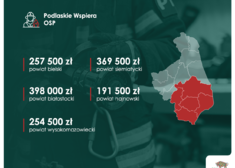 Dotacje dla gmin z podziałem na powiaty (3).png
