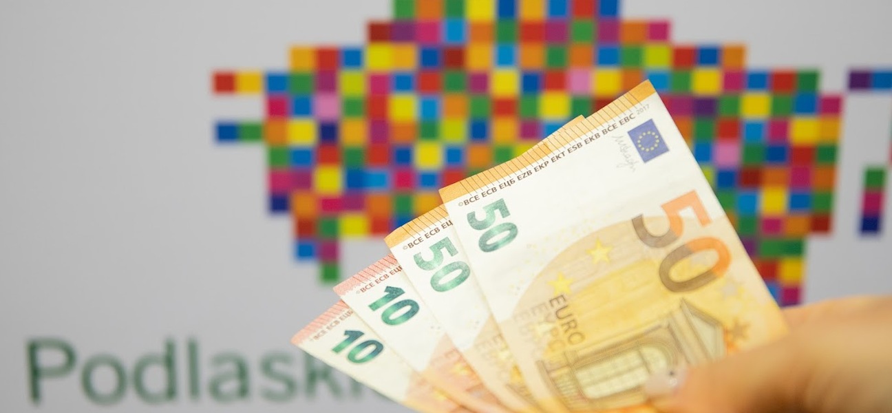 Banknoty euro na tle żubra z pikseli
