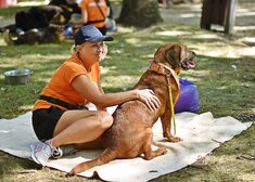 Kobieta w pomarańczowej koszulce wraz z psem