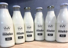 butelki mleka ustawione w rzędzie.jpg