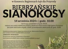 sianokosy plakat