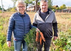 kobieta i mezczyzna na polu z marchewką w rekach