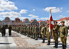 Żołnierze stoją w szeregu.