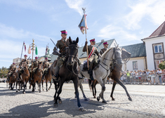 Kawalerzyści na koniach