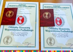 Dyplomy odznaki honorowej województwa