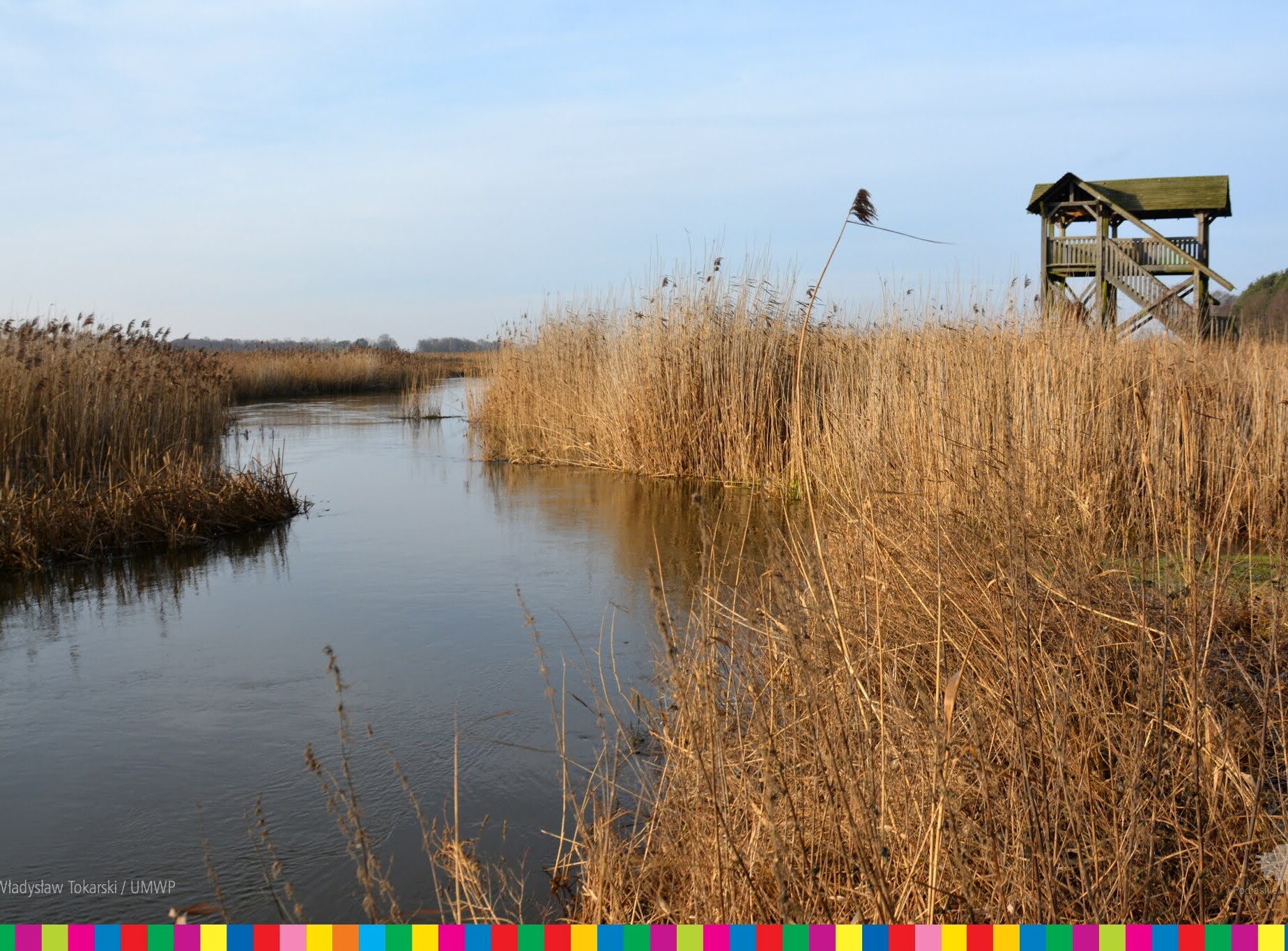 Rzeka Narew