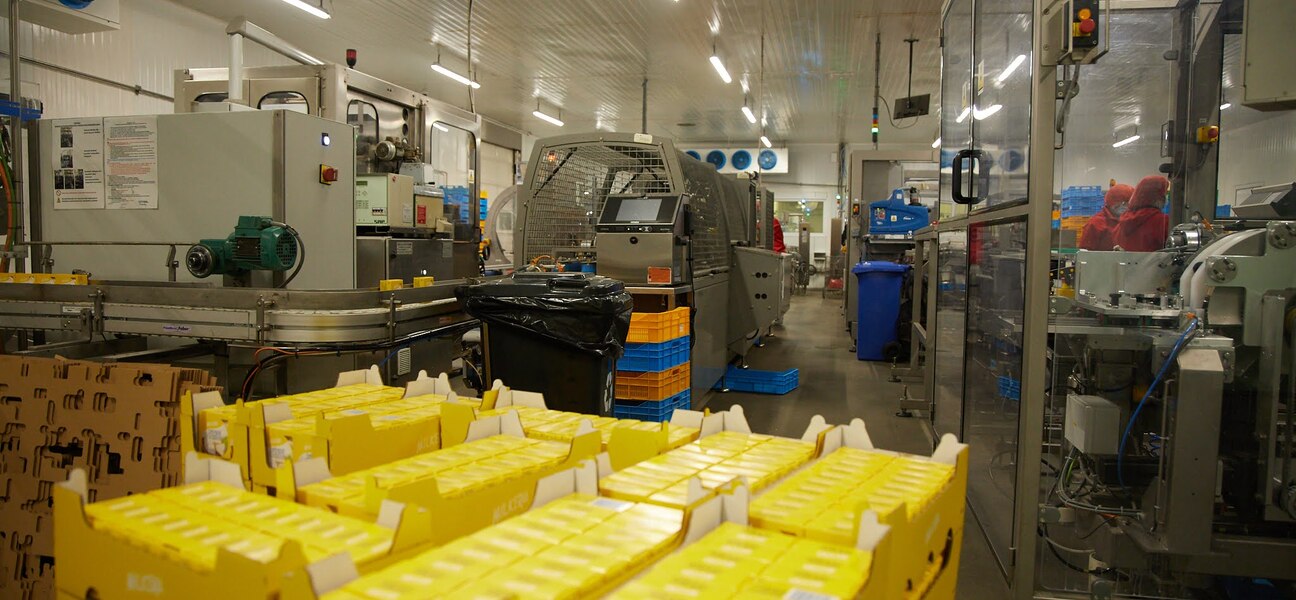Kartony z serami w fabryce