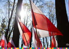 polskie flagi w słońcu