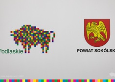 Grafika przedstawiająca pikselowego żubra i herb Powiatu Sokólskiego 